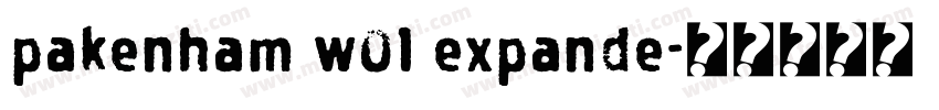 pakenham w01 expande字体转换
